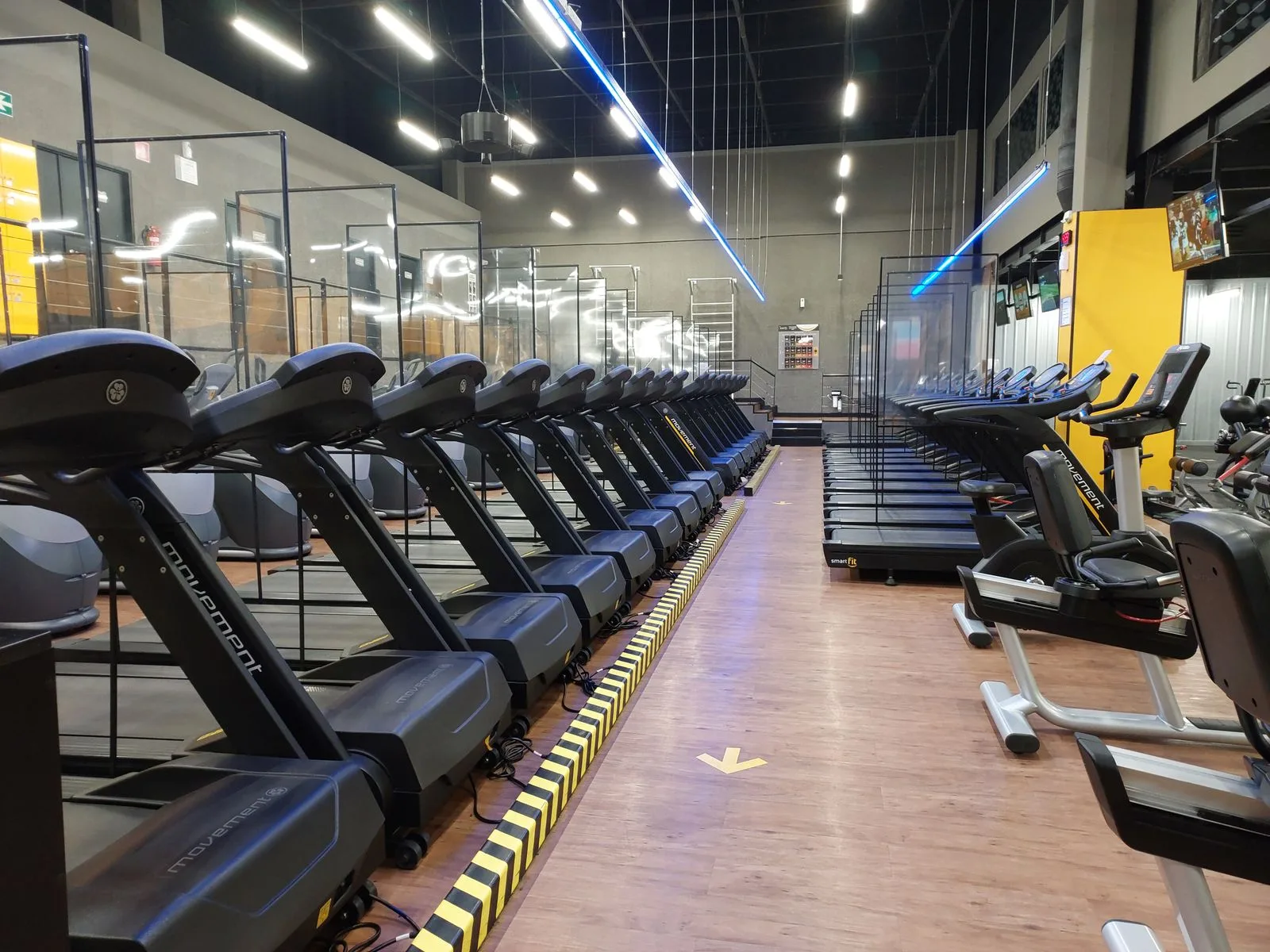 Row of cardio and strength machines in a spacious, well-lit gym