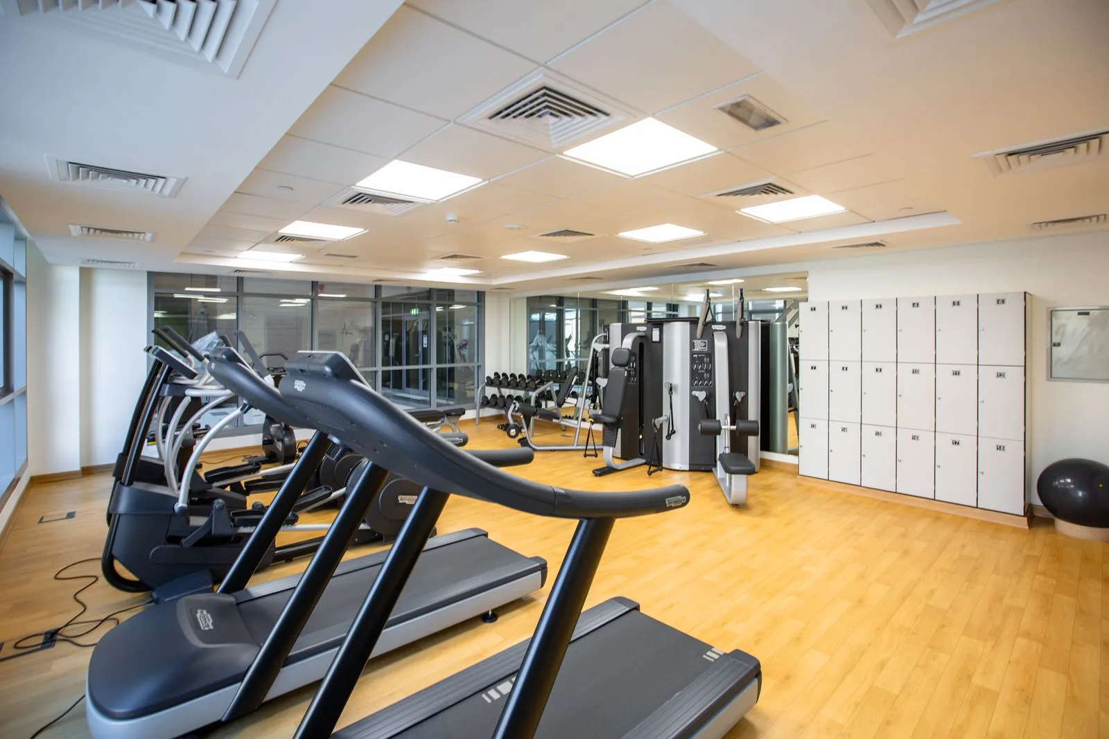 Spacious modern gym interior with treadmills and fitness machines — beginner-friendly gym setup in Malta
