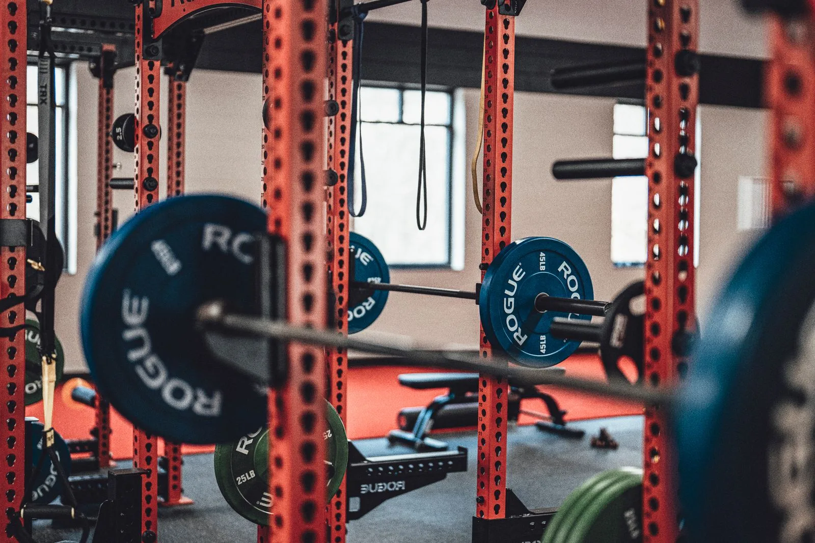 Barbells and weight plates in a gym, the foundation of longevity fitness in Malta